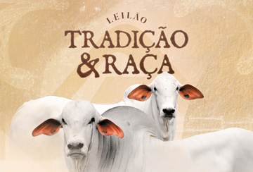 LEILÃO TRADIÇÃO & RAÇA - FAZENDA ÁGUA MILAGROSA